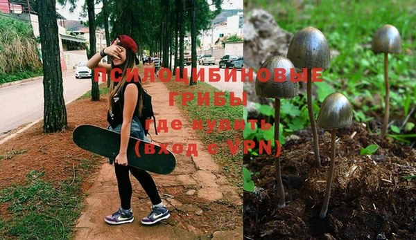первитин Абинск