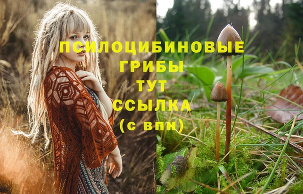 кокаин колумбия Абаза