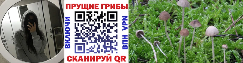 Псилоцибиновые грибы ЛСД  Ряжск 